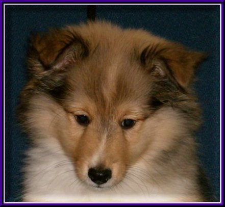 Lance at 9 weeks