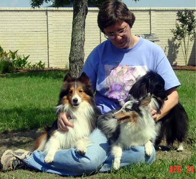 Sherry with Desi(sable), Misty Mouse (blue merle), and Flair (biblack).