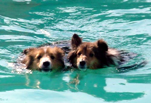 Sean and Spenser Swimming Together