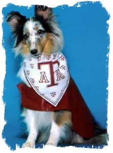 Official Texas A&M Dermatomyositis Studies Poster Dog